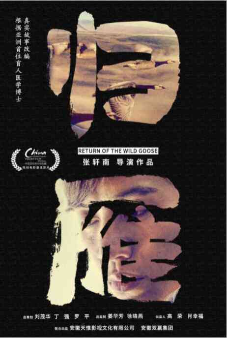 《归雁》免费在线播放｜剧情·中国大陆