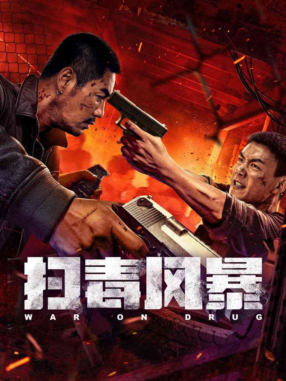 《扫毒风暴》免费在线播放｜动作,犯罪·中国大陆
