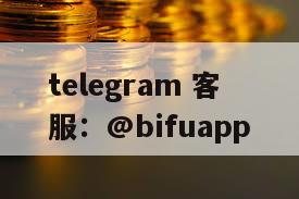 菲律宾第三方支付解决方案综合指南：深入了解 BiFuPay Se