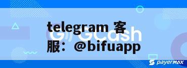 重塑菲律宾支付生态：币付GCash Mini Program引领代收代付新纪元