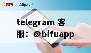 币付pay：革新菲律宾第三方支付行业的新锐力量